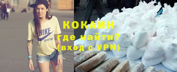 спайс Елизово
