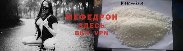индика Дмитриев
