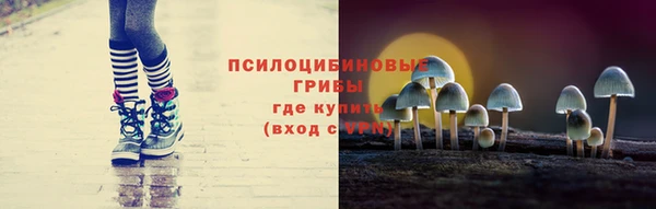спайс Елизово