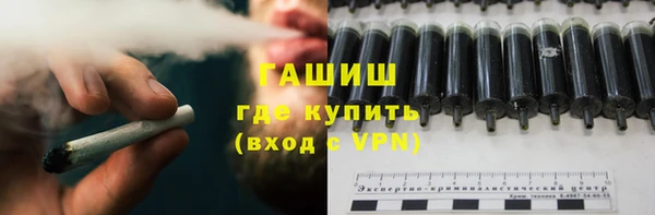 СК Дмитров