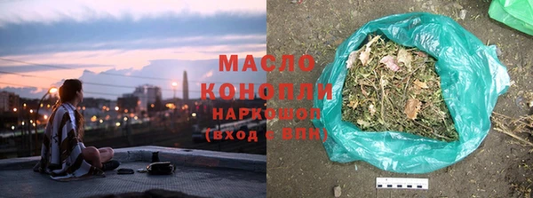 индика Дмитриев
