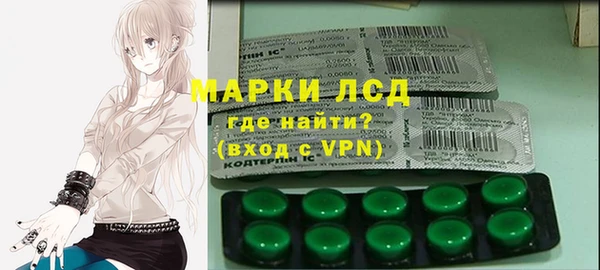 индика Дмитриев