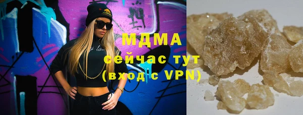 индика Дмитриев