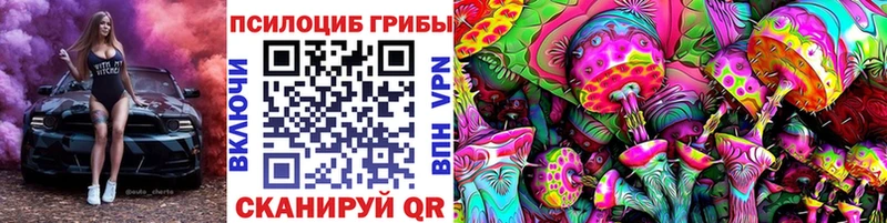 Псилоцибиновые грибы MAGIC MUSHROOMS  где купить наркоту  Зерноград 